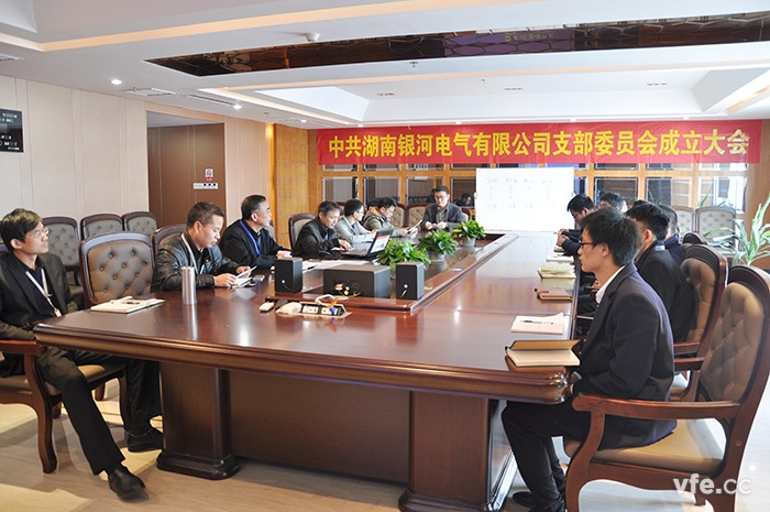 湖南銀河電氣有限公司黨支部正式成立 湖南銀河電氣有限公司黨支部正式成立