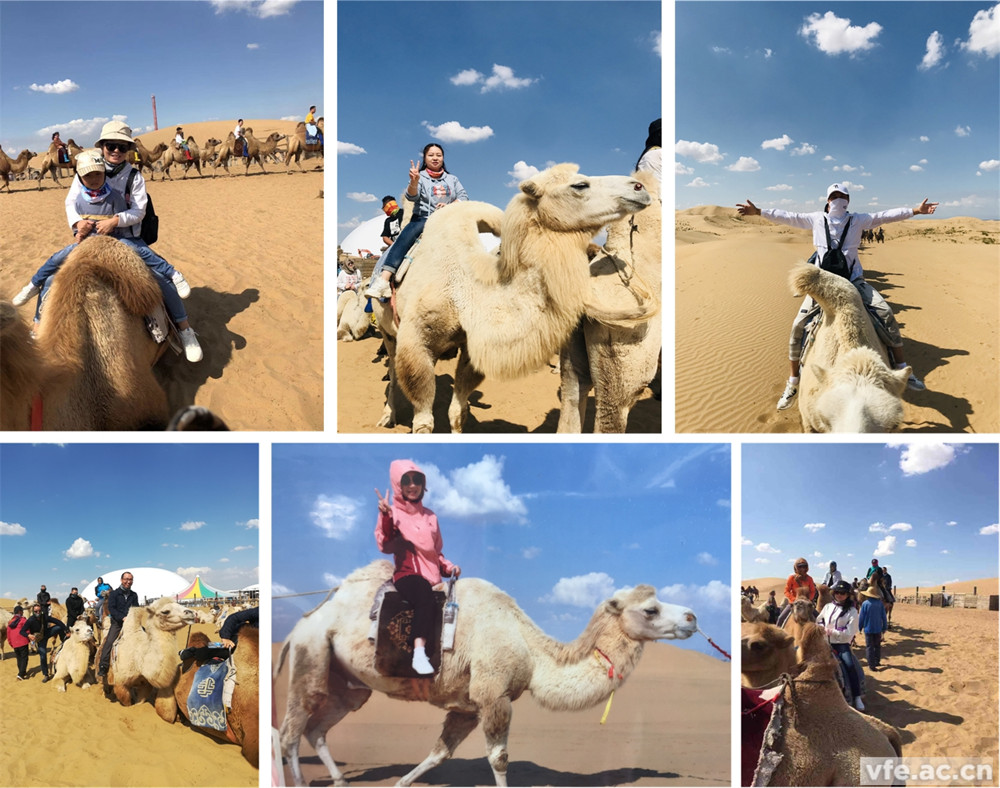 騎著駱駝走沙漠，不要太穿越