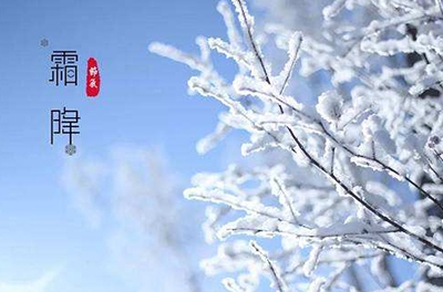 葉落草枯，秋晚凝霜