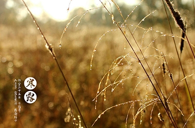 寒露已至，注意添衣防寒