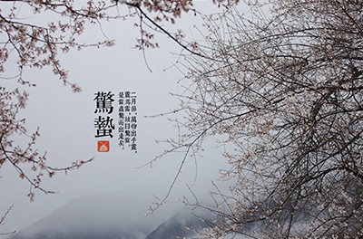 春雷起，驚蟄出